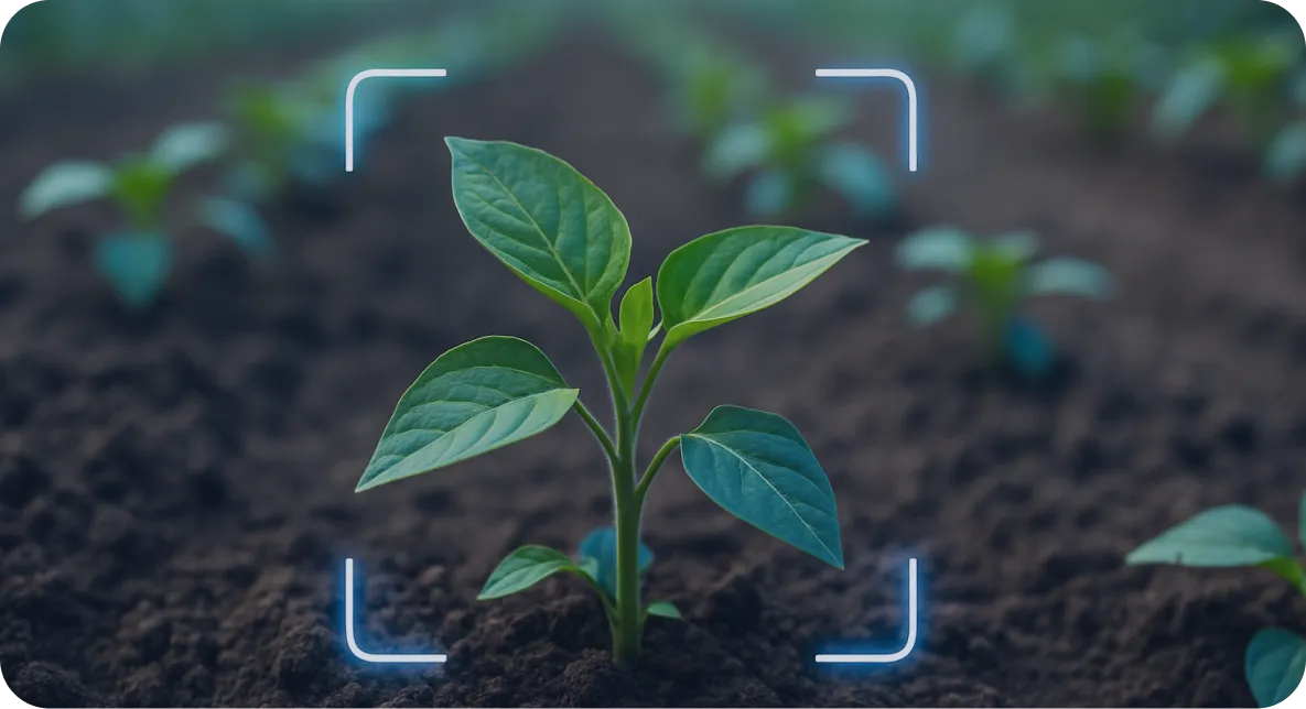 ai vision is revolutionizing crop protection 2