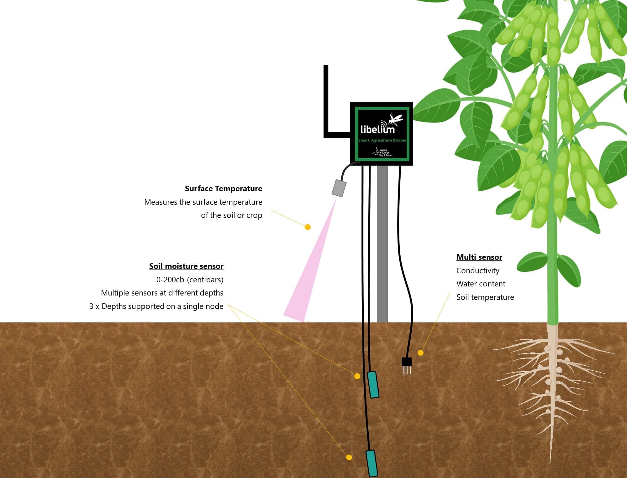 Monitoring moisture, conductivity, soil temperature.