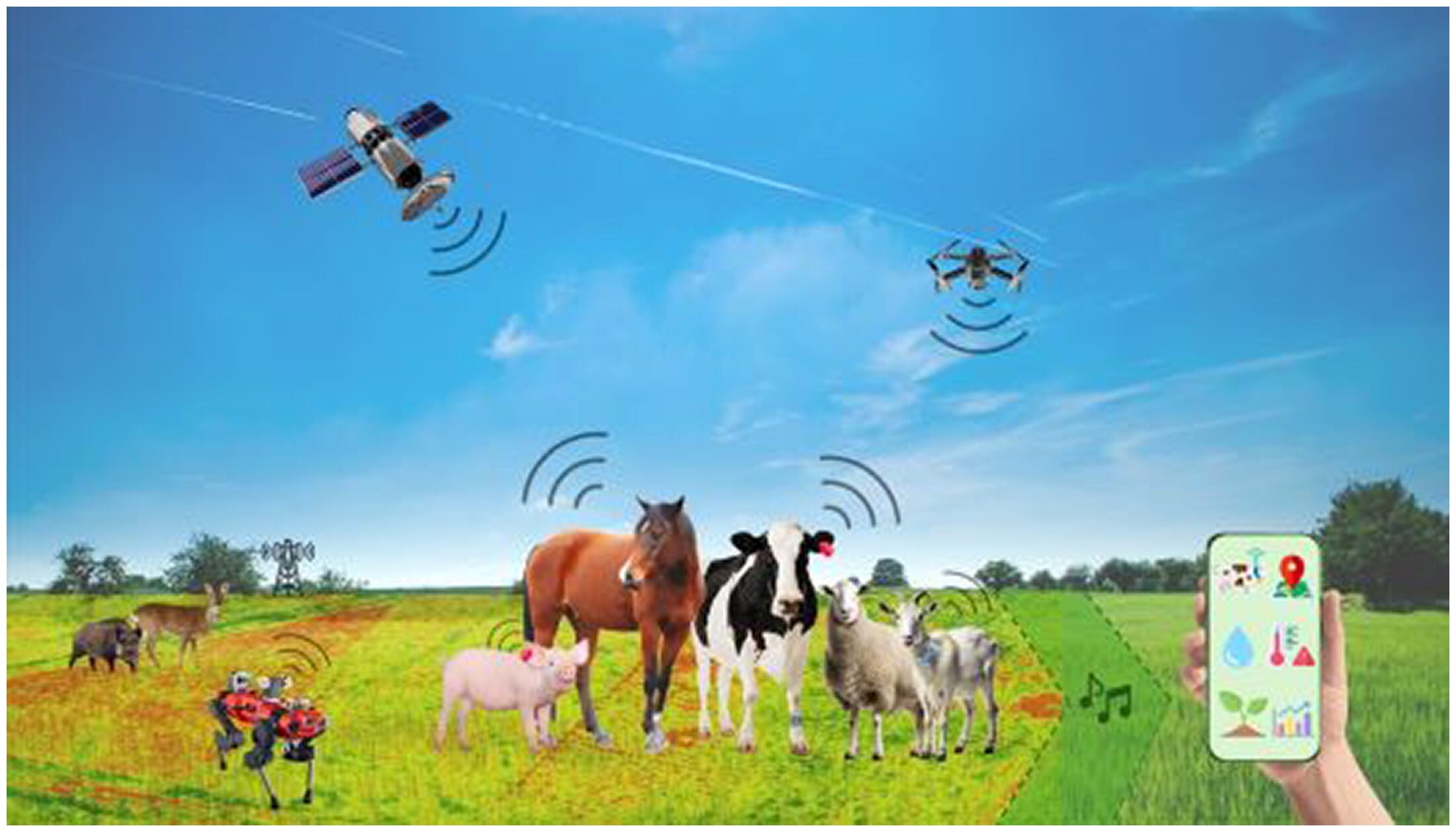 IoT Wearables in Action